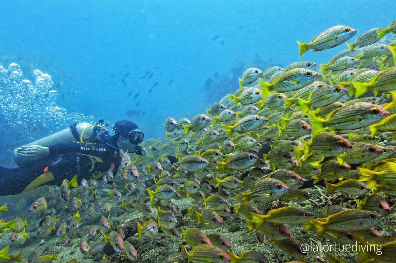La Tortue Diving Resort דאווין מראה חיצוני תמונה